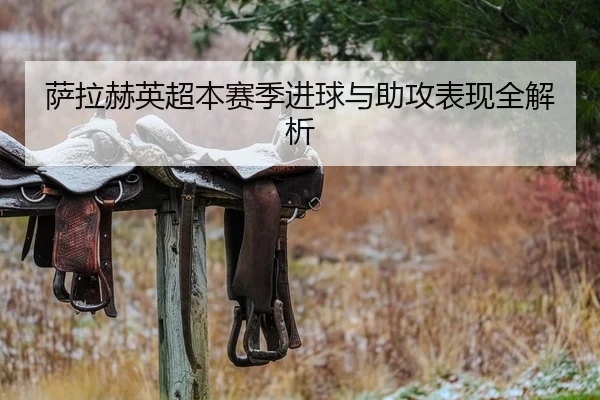 萨拉赫英超本赛季进球与助攻表现全解析